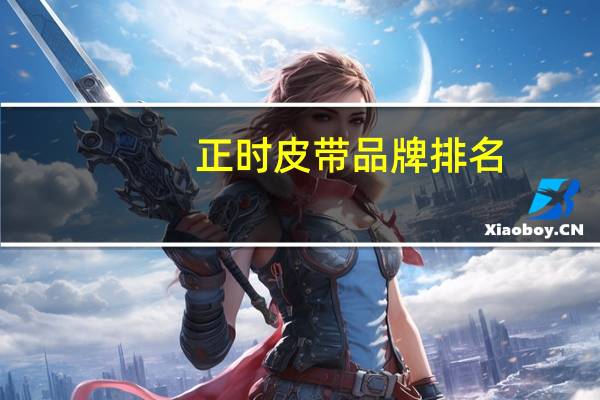 正时皮带品牌排名