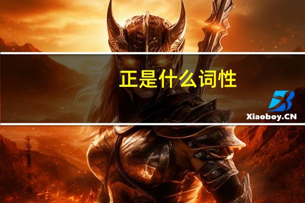 正是什么词性