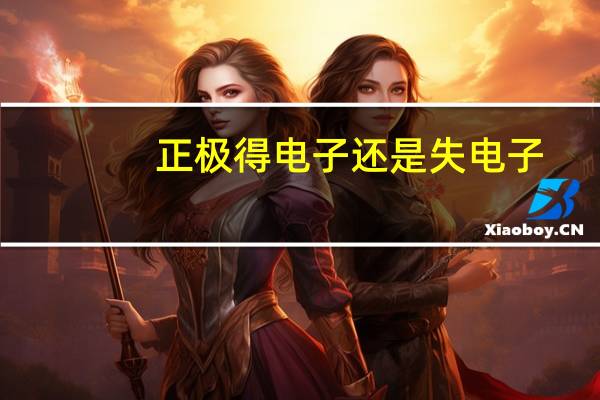 正极得电子还是失电子