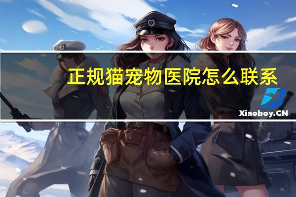 正规猫宠物医院怎么联系