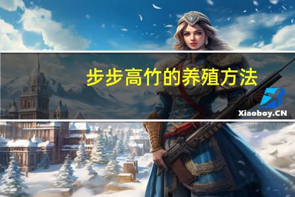 步步高竹的养殖方法