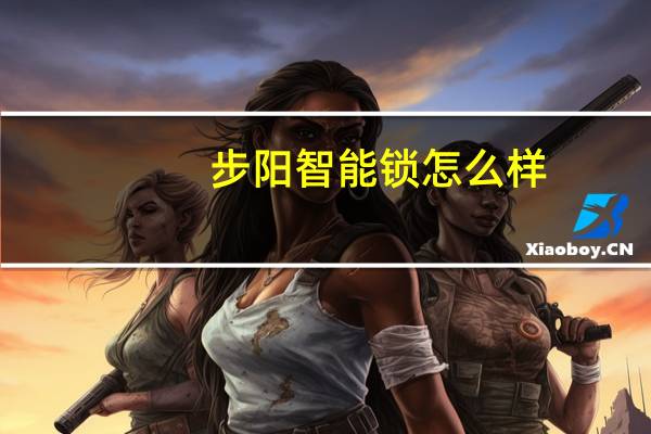 步阳智能锁怎么样