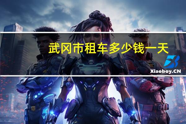 武冈市租车多少钱一天