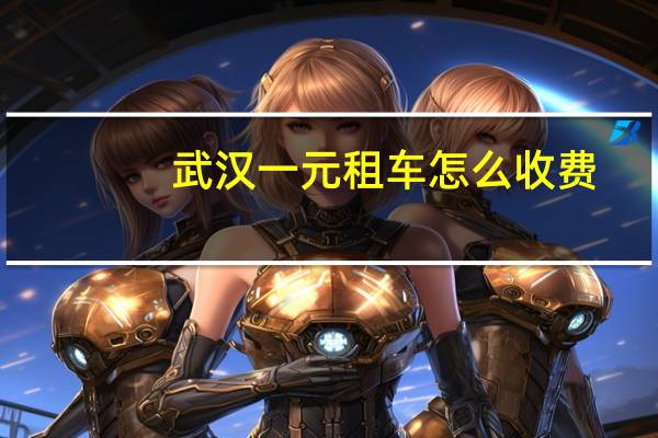 武汉一元租车怎么收费