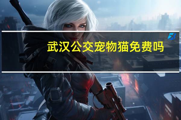 武汉公交宠物猫免费吗