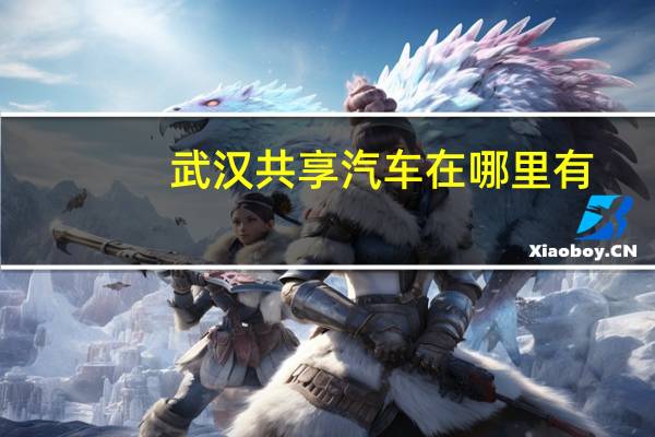 武汉共享汽车在哪里有