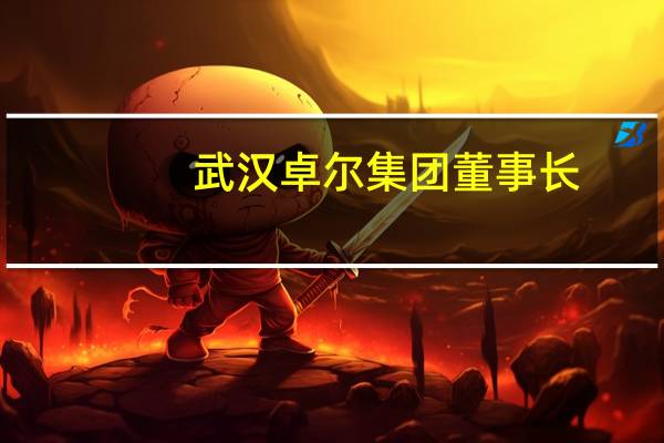 武汉卓尔集团董事长