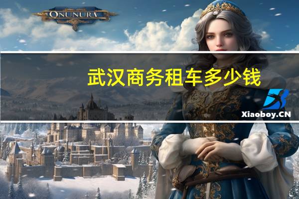 武汉商务租车多少钱