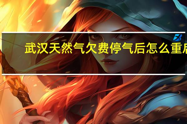 武汉天然气欠费停气后怎么重启