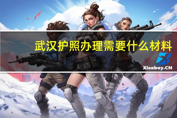 武汉护照办理需要什么材料