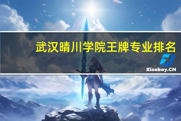 武汉晴川学院王牌专业排名