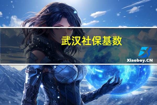 武汉社保基数