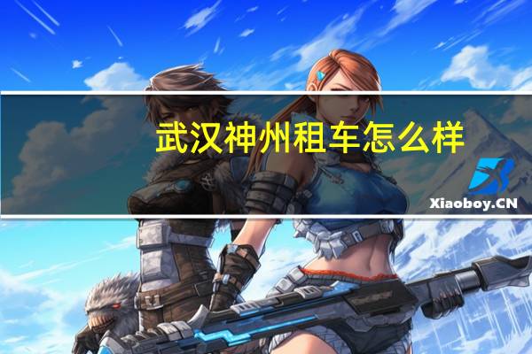 武汉神州租车怎么样