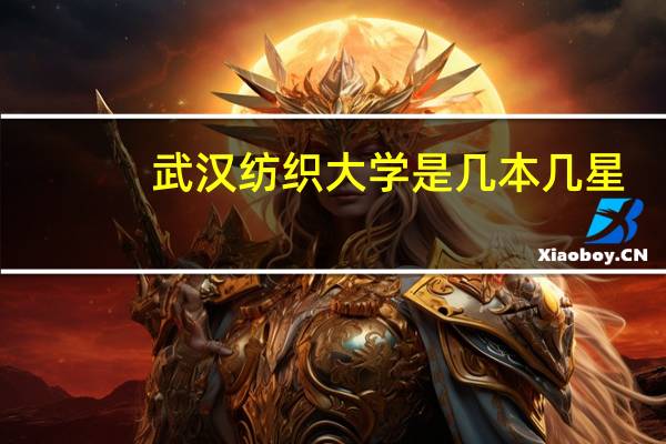 武汉纺织大学是几本几星