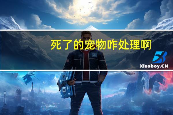 死了的宠物咋处理啊