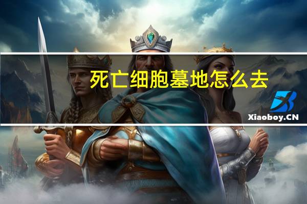 死亡细胞墓地怎么去