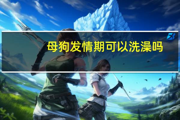 母狗发情期可以洗澡吗