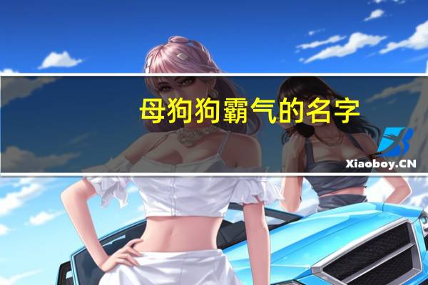 母狗狗霸气的名字