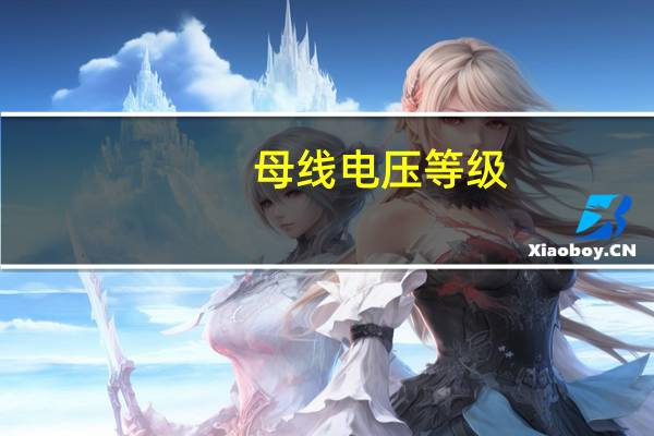 母线电压等级