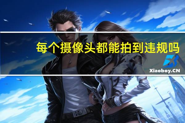 每个摄像头都能拍到违规吗