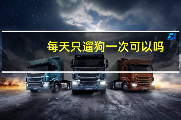 每天只遛狗一次可以吗