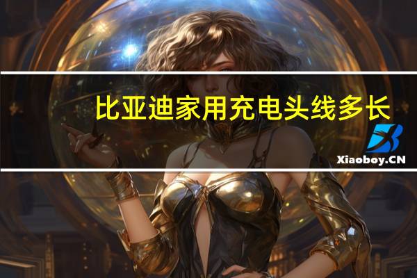 比亚迪家用充电头线多长