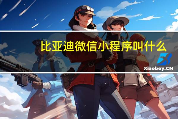 比亚迪微信小程序叫什么
