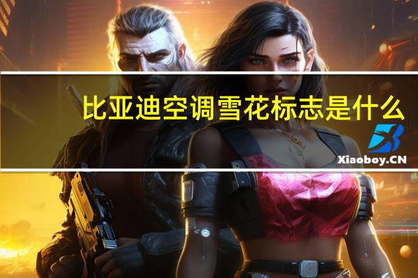 比亚迪空调雪花标志是什么