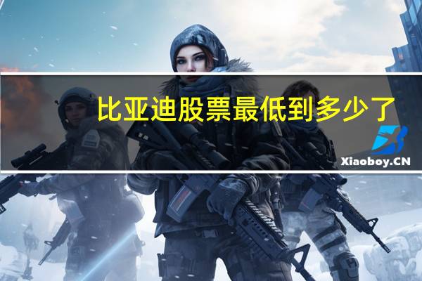 比亚迪股票最低到多少了