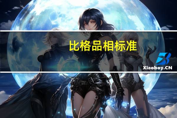比格品相标准