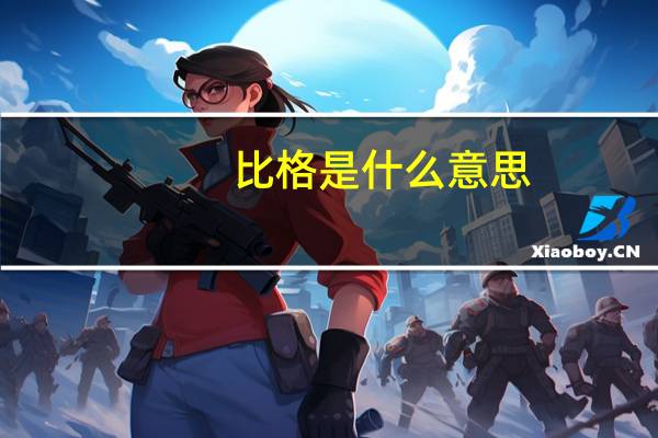 比格是什么意思