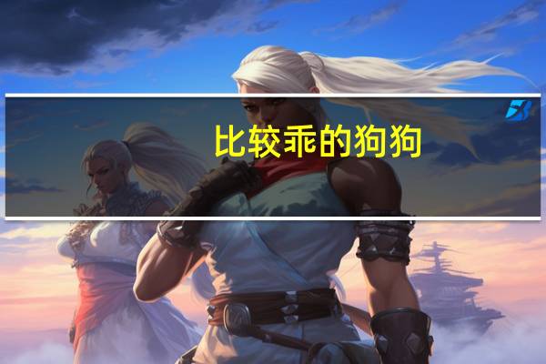 比较乖的狗狗