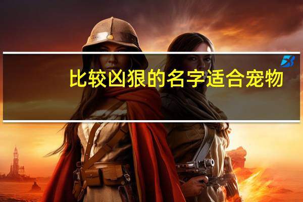 比较凶狠的名字适合宠物