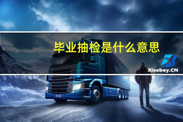 毕业抽检是什么意思