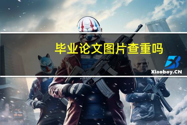 毕业论文图片查重吗