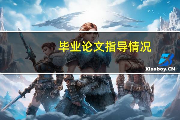 毕业论文指导情况