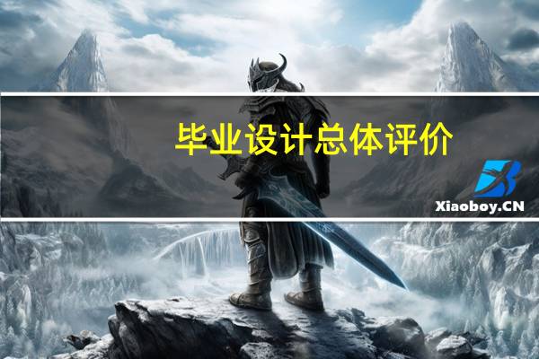 毕业设计总体评价