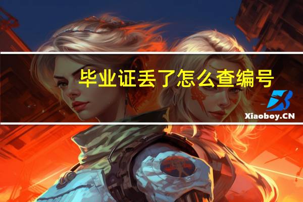 毕业证丢了怎么查编号