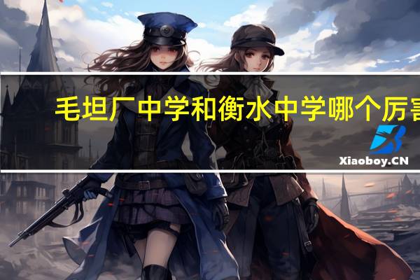 毛坦厂中学和衡水中学哪个厉害