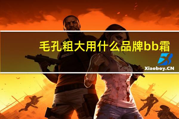 毛孔粗大用什么品牌bb霜