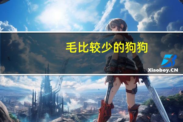 毛比较少的狗狗