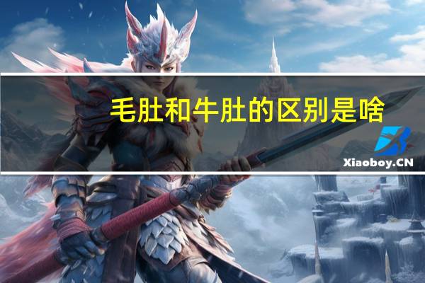 毛肚和牛肚的区别是啥