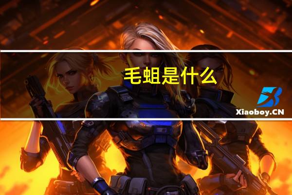 毛蛆是什么
