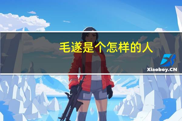 毛遂是个怎样的人