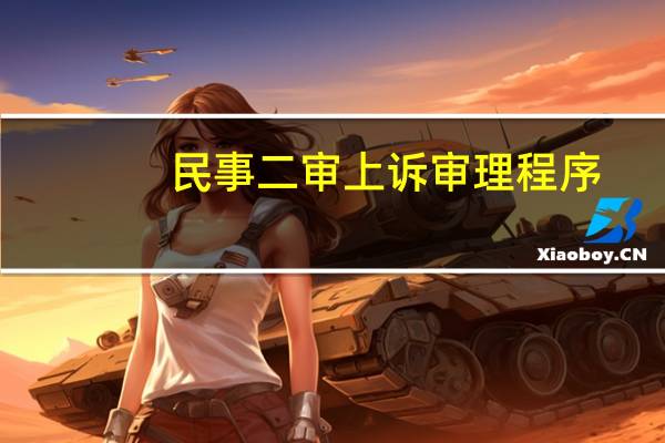 民事二审上诉审理程序