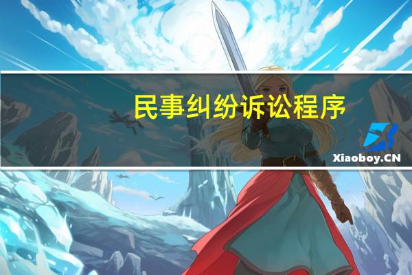民事纠纷诉讼程序