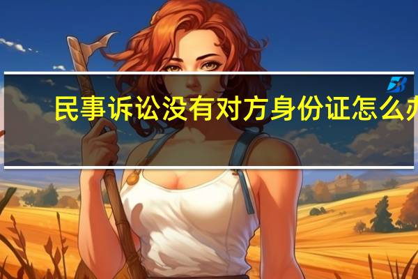 民事诉讼没有对方身份证怎么办