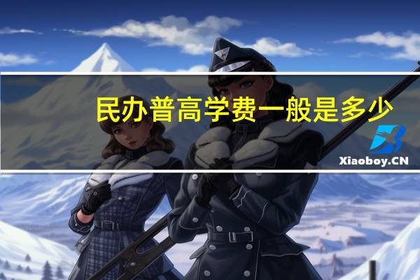 民办普高学费一般是多少