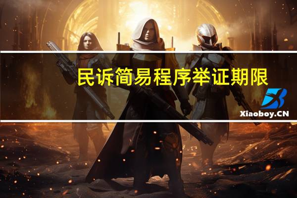 民诉简易程序举证期限