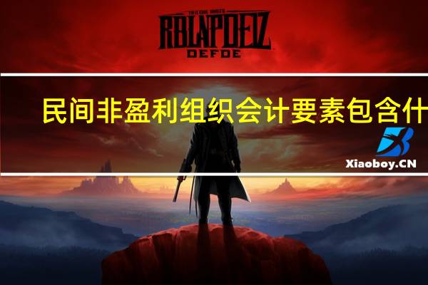 民间非盈利组织会计要素包含什么